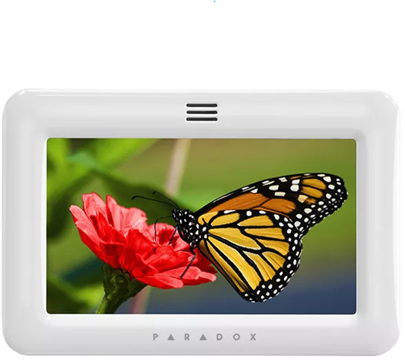 PARADOX TM50 (white)