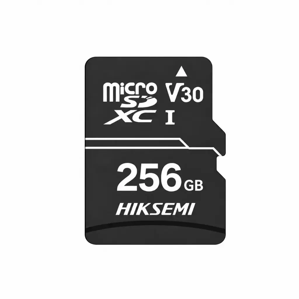 Memory card HIKSEMI HS-TF-D1 256G 256 GB