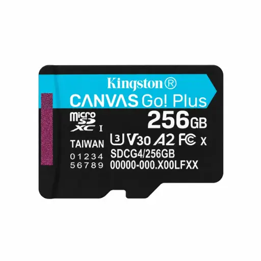 [O203SDCARD37] Memory card Kingston Canvas Go Plus 256 GB